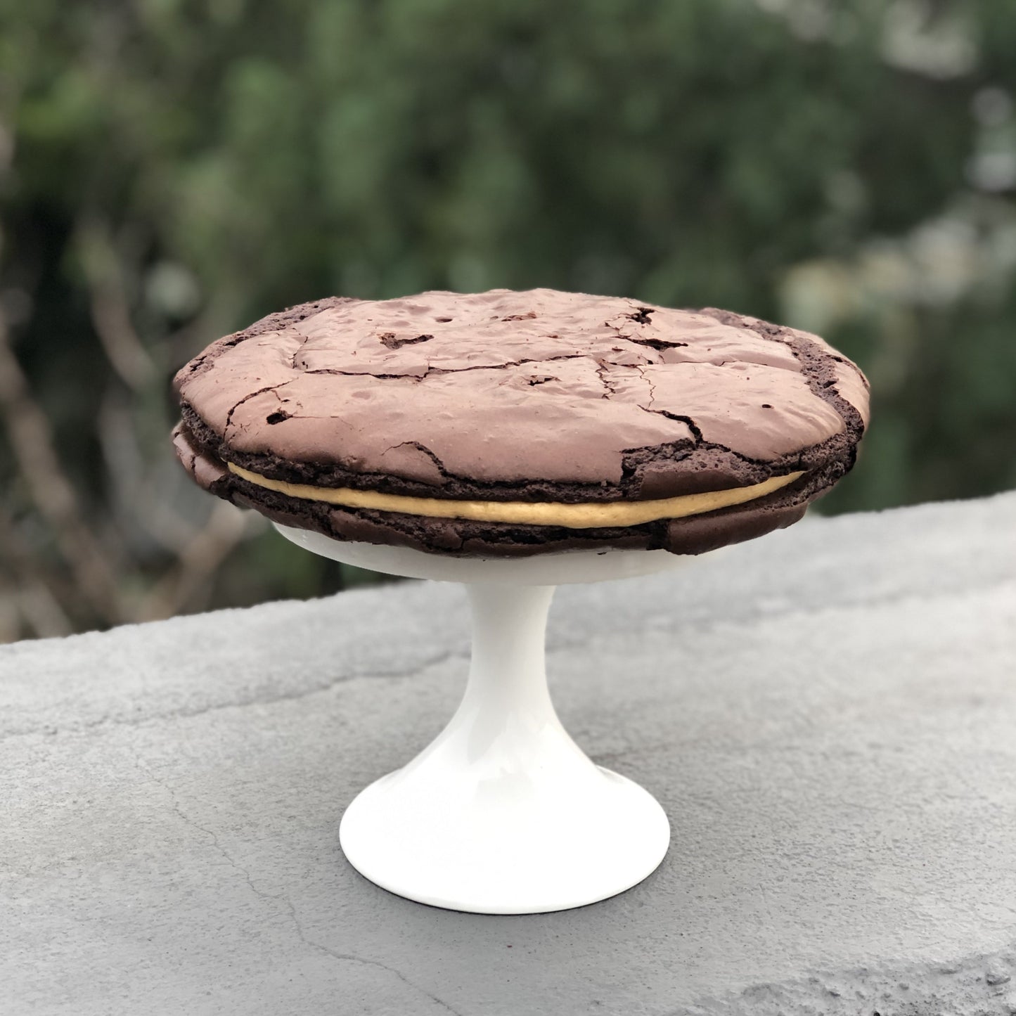 BROOKIES XXL