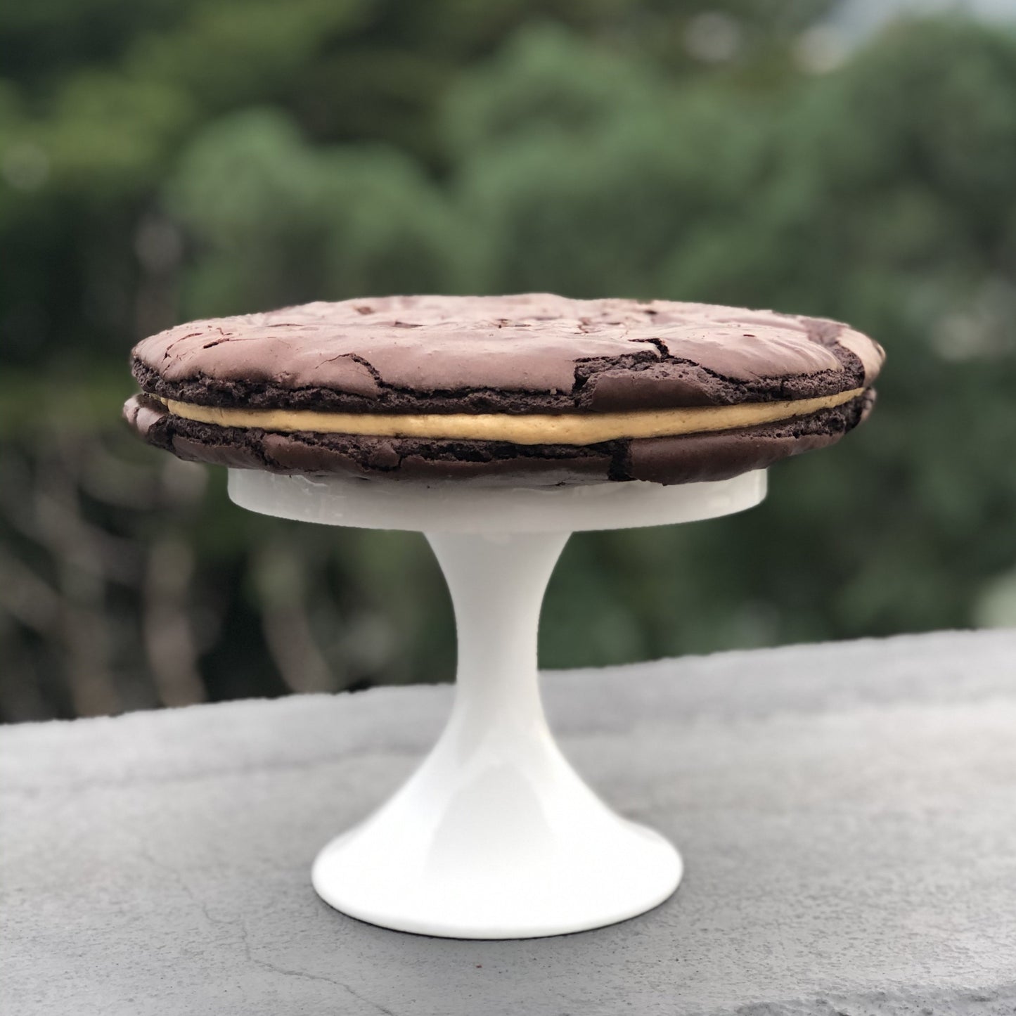 BROOKIES XXL
